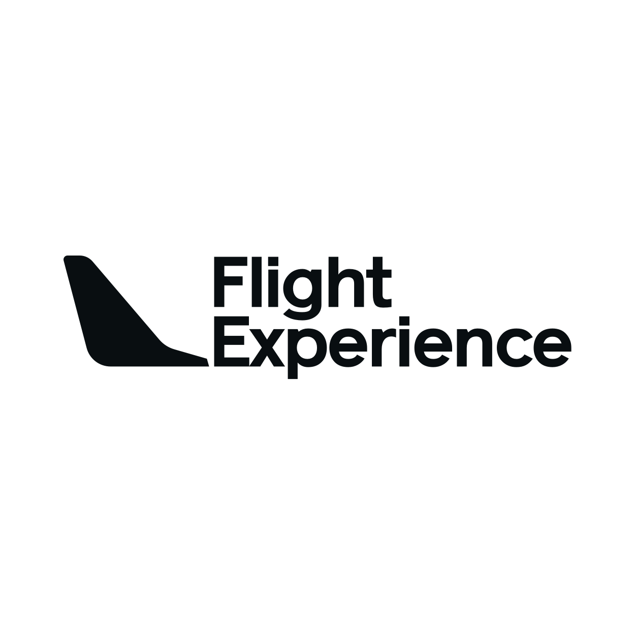 Flight Experience Logo
